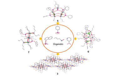 Structural diversification of tin-oxo complexes through controlled self-assembly and ligand modulation 2023.100155